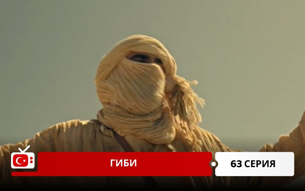 Гиби 63 серия