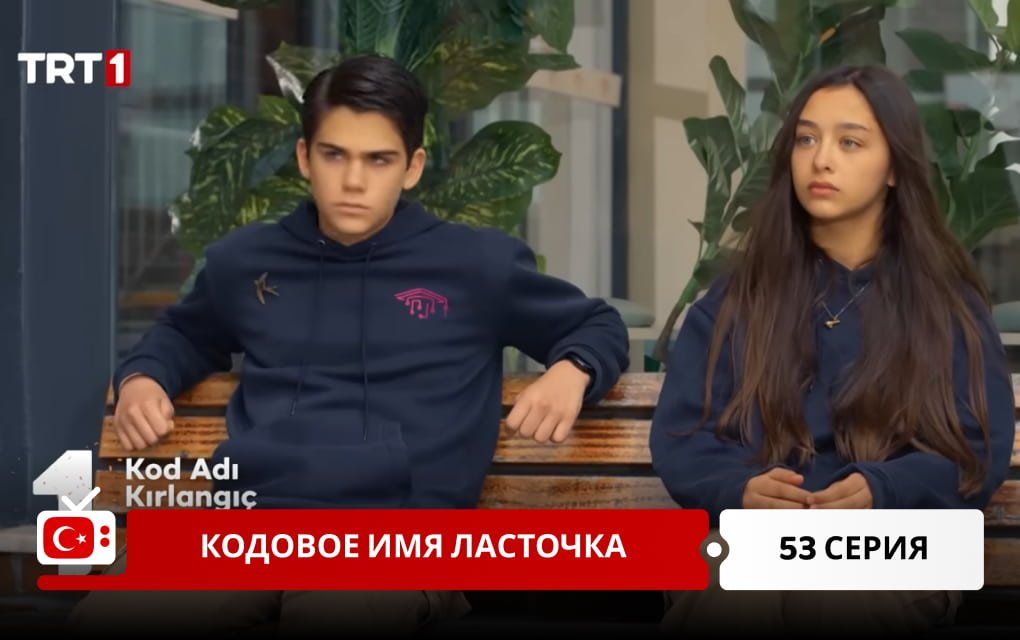 Кодовое имя Ласточка 53 серия