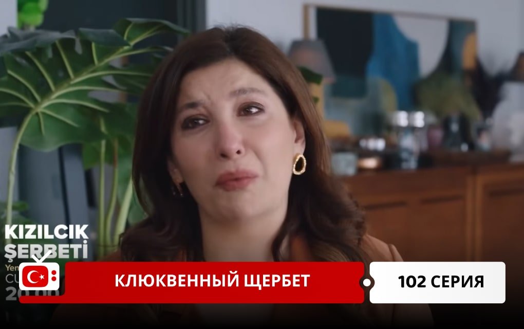 Клюквенный щербет 102 серия
