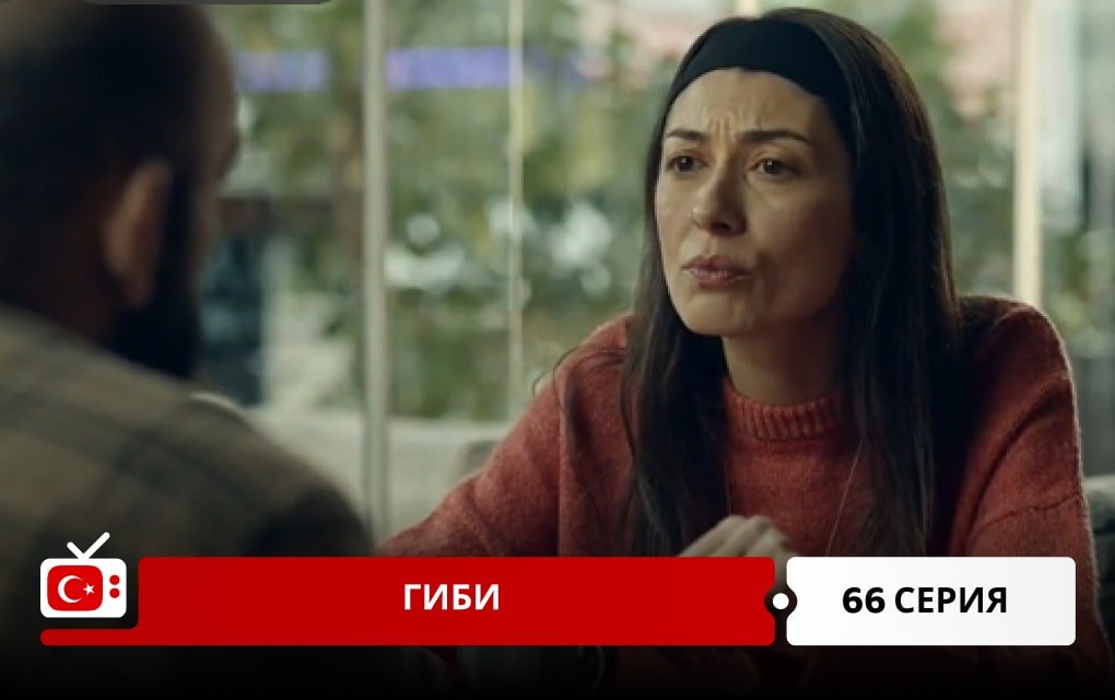 Гиби 66 серия