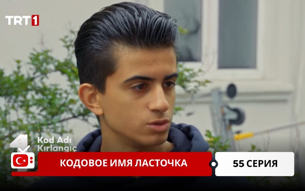 Кодовое имя Ласточка 55 серия