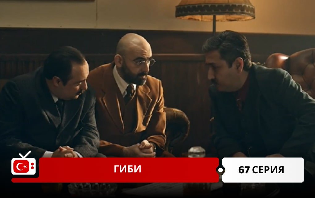 Гиби 67 серия
